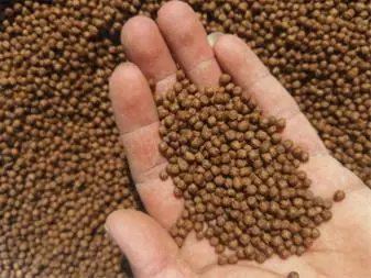 تصویر شماره 1 محصول 