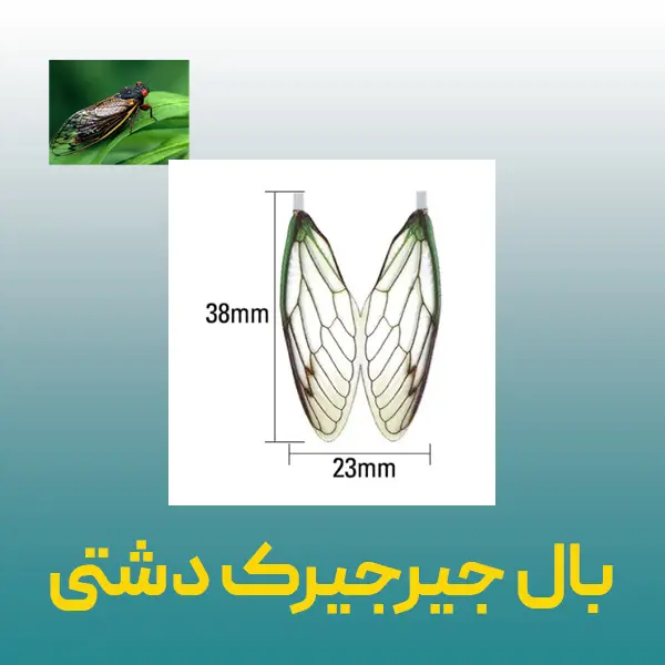 تصویر شماره 4 محصول 