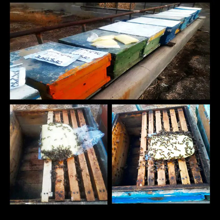 تصویر شماره 3 محصول 