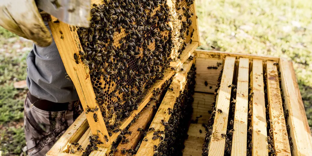 تصویر شماره 1 محصول 