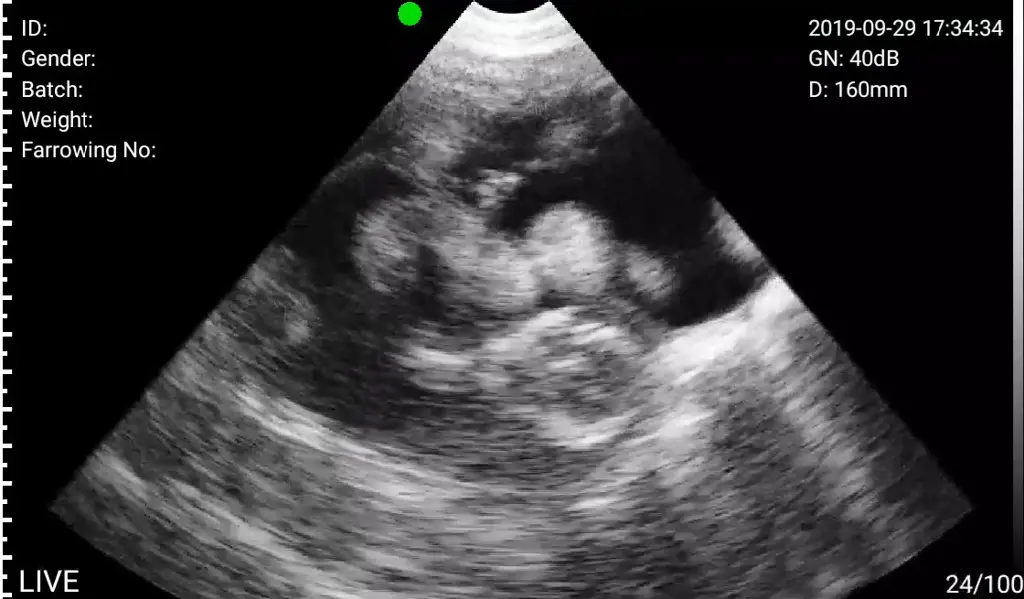 تصویر شماره 3 محصول 