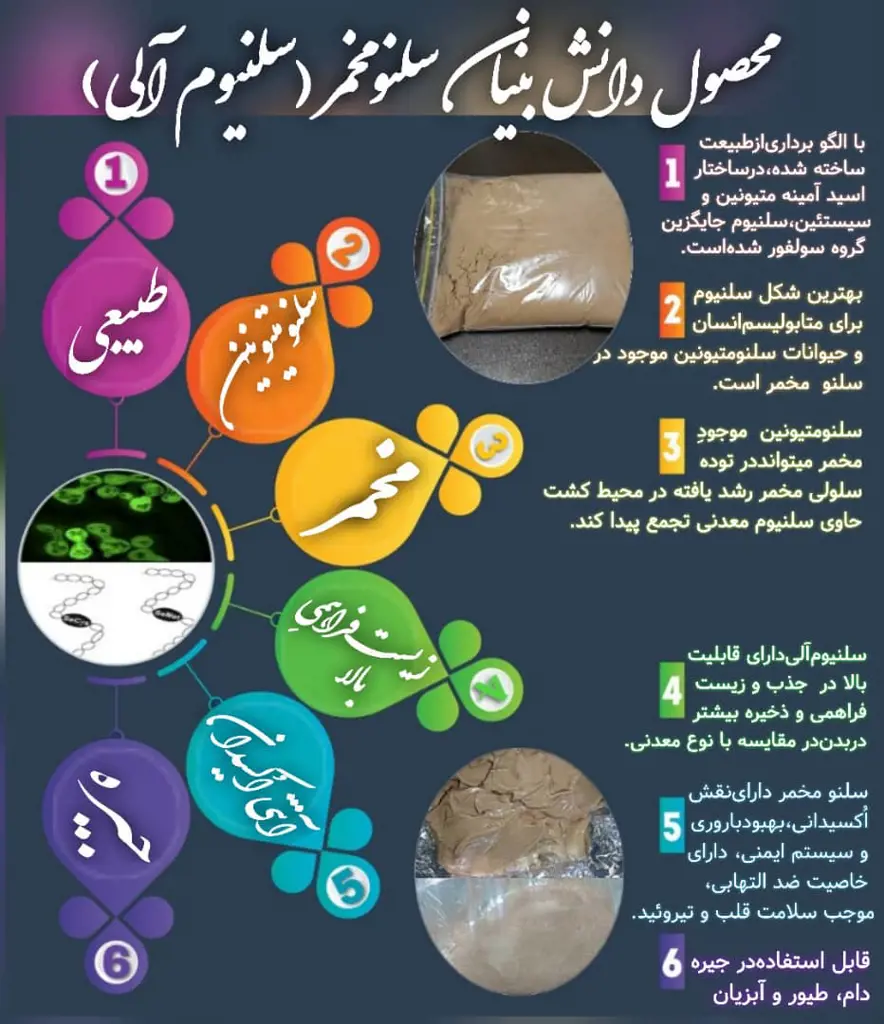 تصویر شماره 2 محصول 