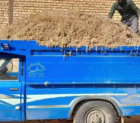 تصویر شماره 3 محصول 