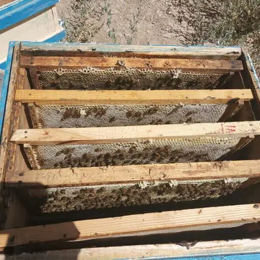 تصویر شماره 1 محصول 