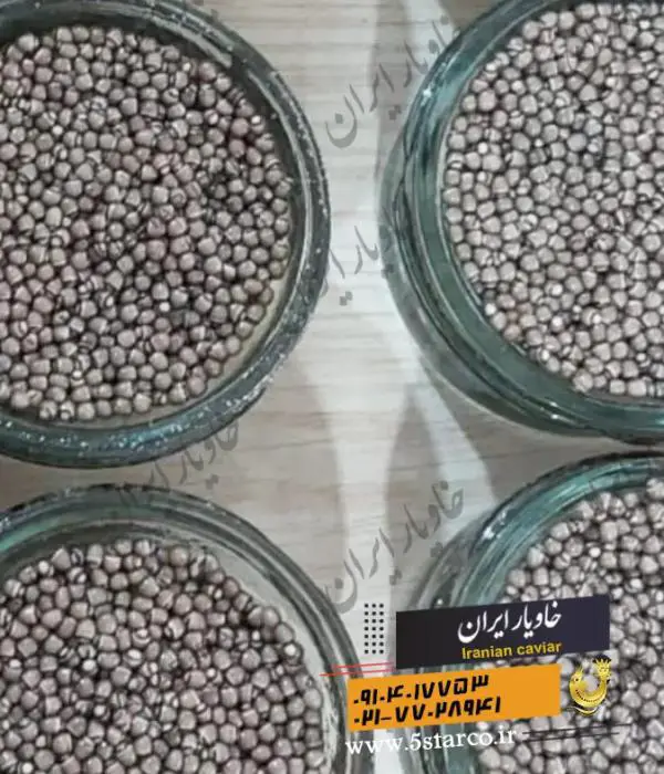 تصویر شماره 1 محصول 