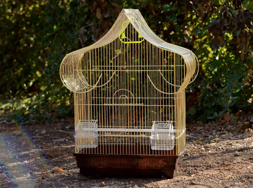 تصویر شماره 1 محصول 