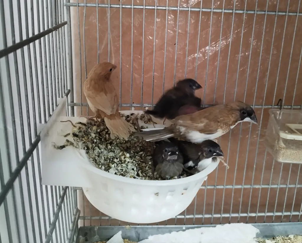 تصویر شماره 2 محصول 