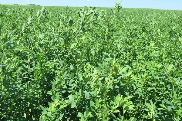 تصویر شماره 3 محصول 