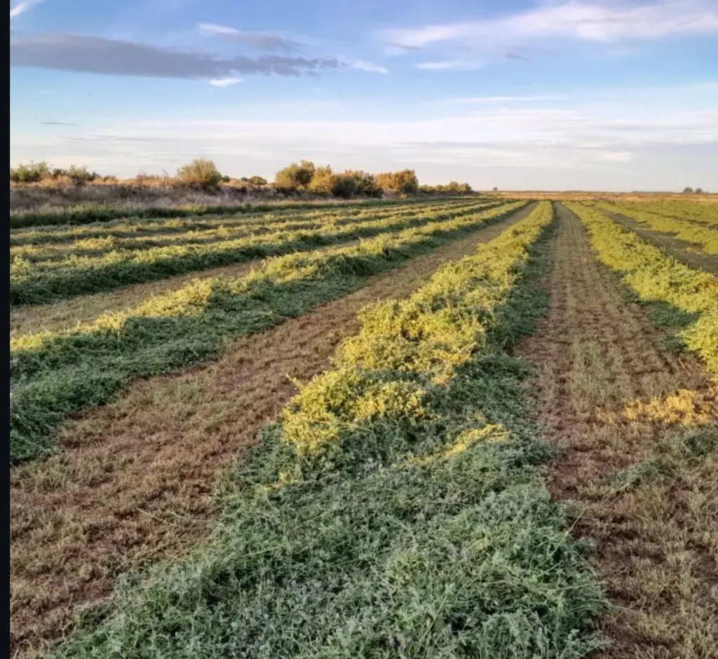 تصویر شماره 3 محصول 