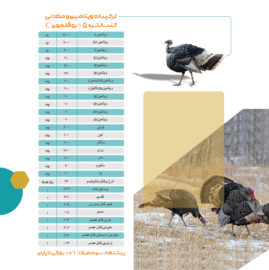 تصویر شماره 2 محصول 