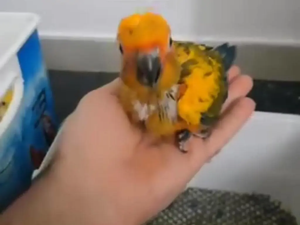 تصویر شماره 1 محصول 