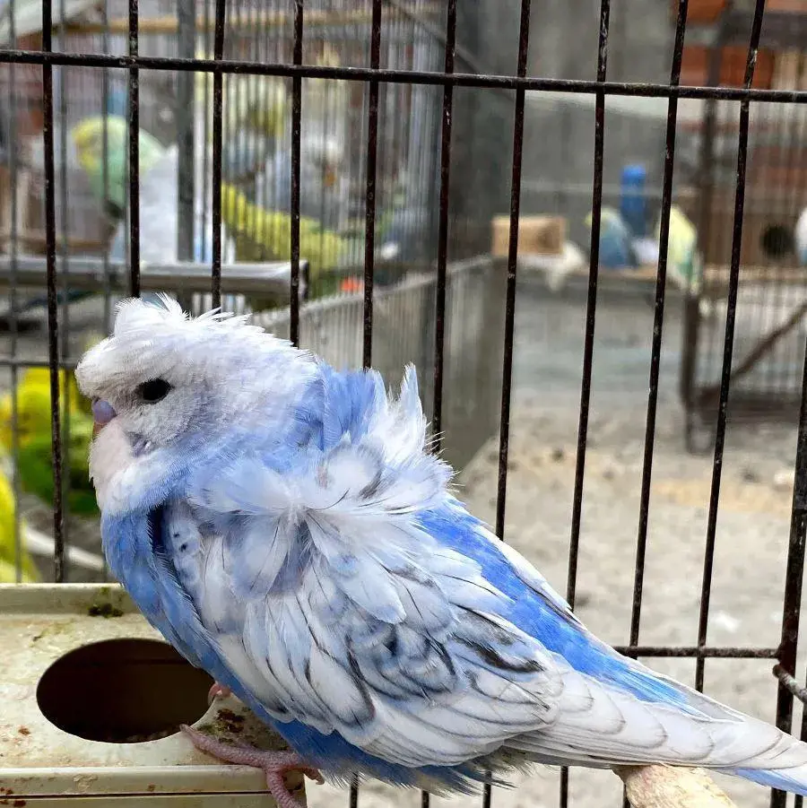 تصویر شماره 1 محصول 