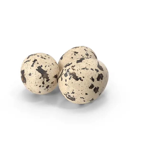 تصویر شماره 1 محصول 