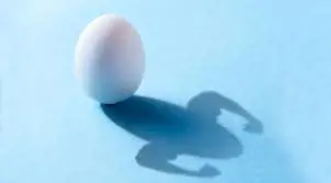 تصویر شماره 1 محصول 