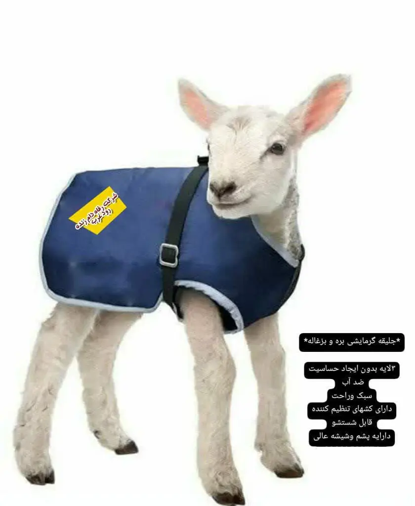 تصویر شماره 1 محصول 