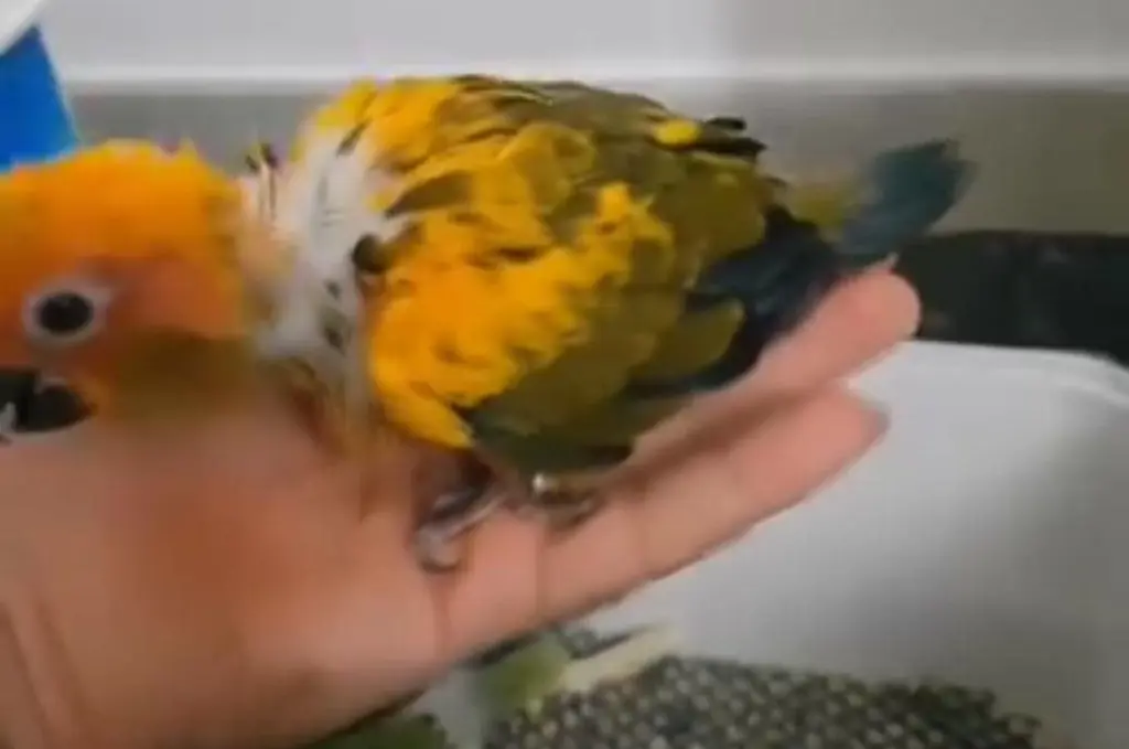 تصویر شماره 2 محصول 