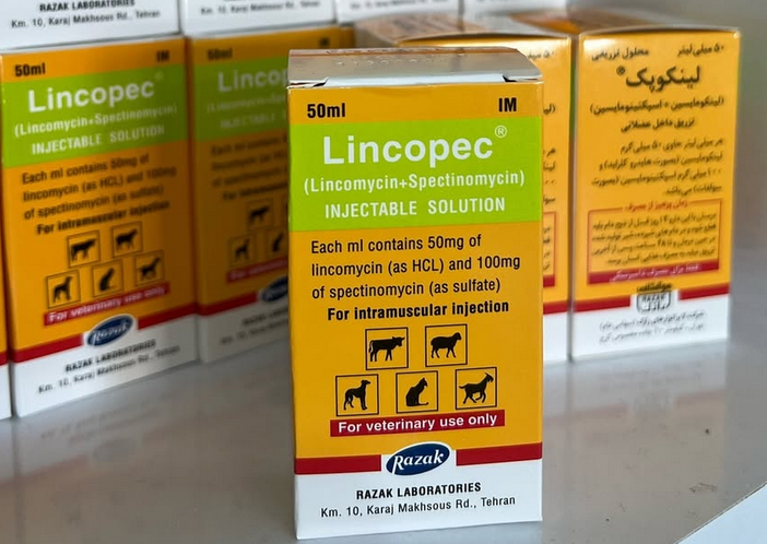 تصویر شماره 1 محصول 