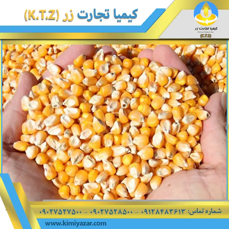 تصویر شماره 1 محصول 