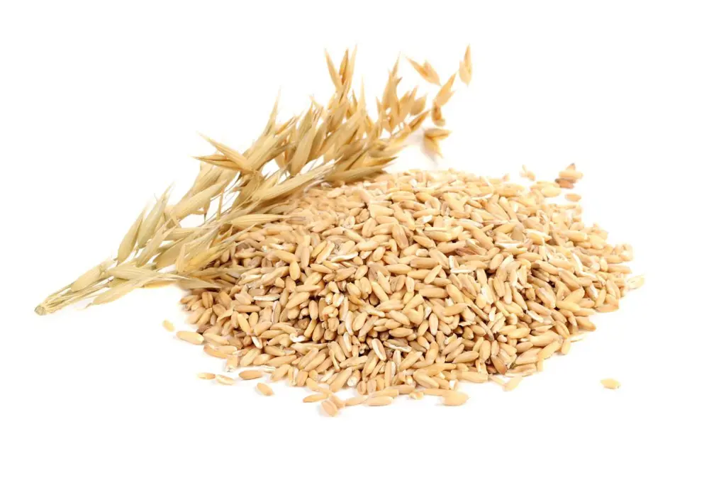 تصویر شماره 1 محصول 