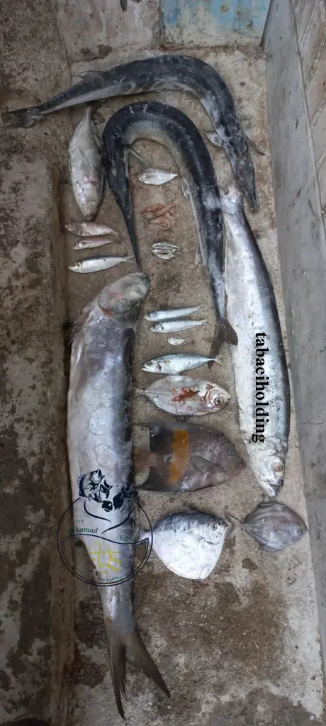 تصویر شماره 1 محصول 