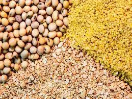 تصویر شماره 1 محصول 