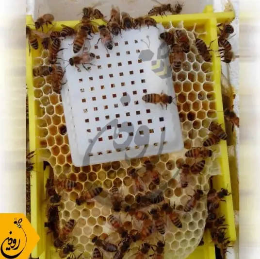 تصویر شماره 2 محصول 