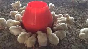 تصویر شماره 1 محصول 