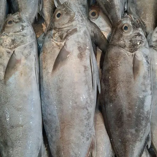 تصویر شماره 1 محصول 