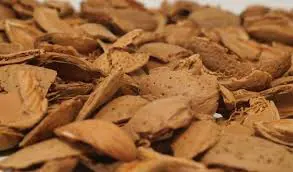 تصویر شماره 1 محصول 