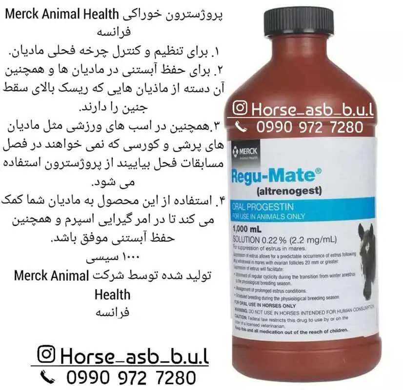 تصویر شماره 1 محصول 