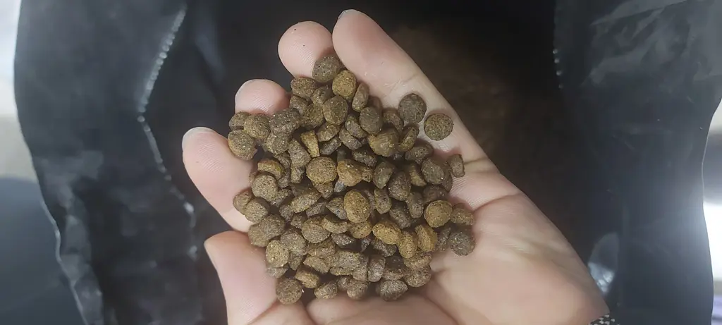 تصویر شماره 1 محصول 