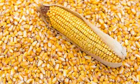 تصویر شماره 1 محصول 