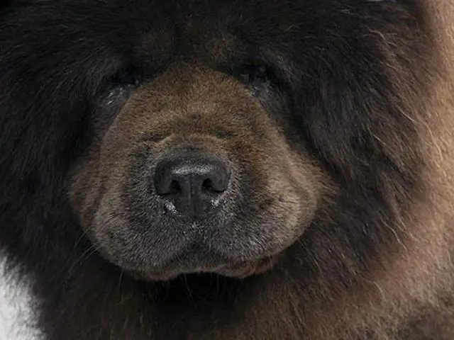 تصویر شماره 2 محصول 