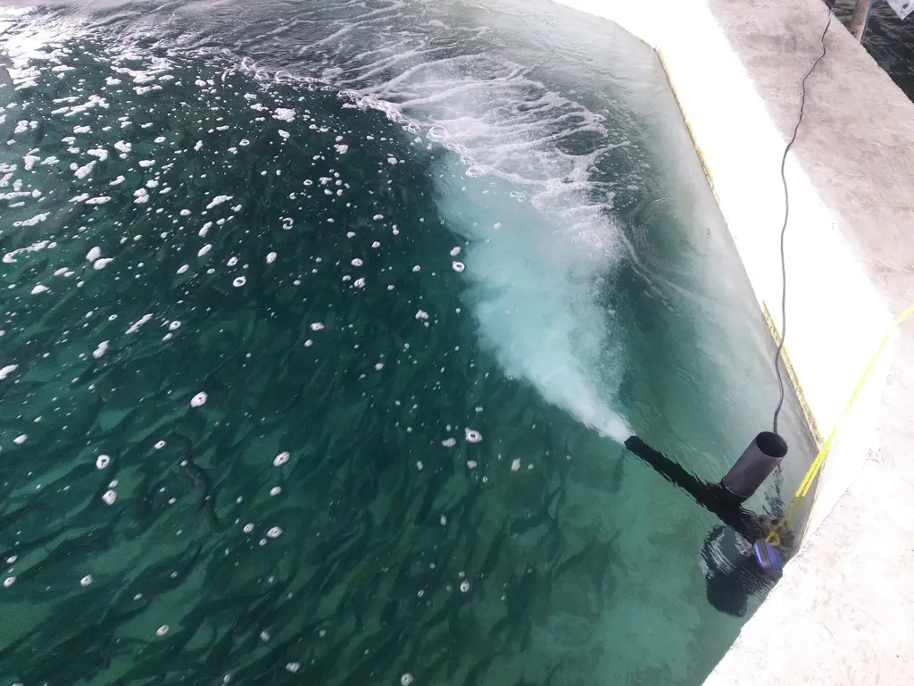 تصویر شماره 2 محصول 