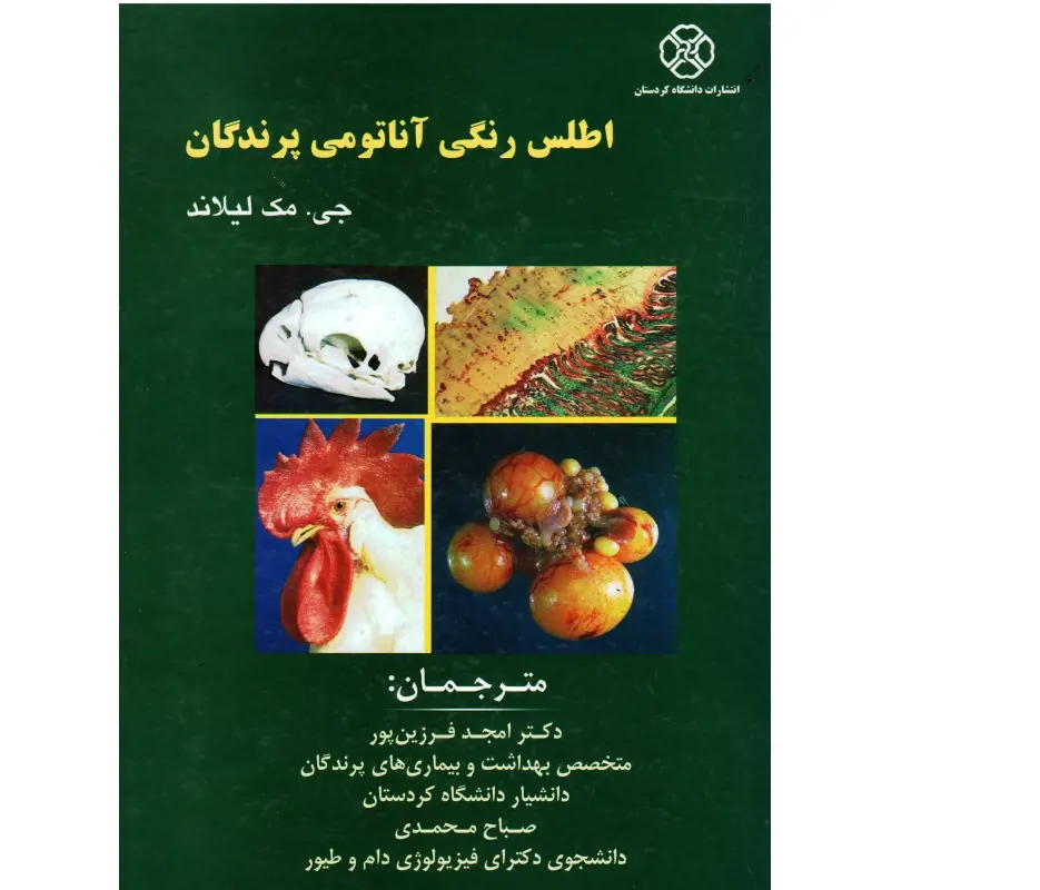 تصویر شماره 1 محصول 