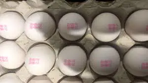 تصویر شماره 1 محصول 