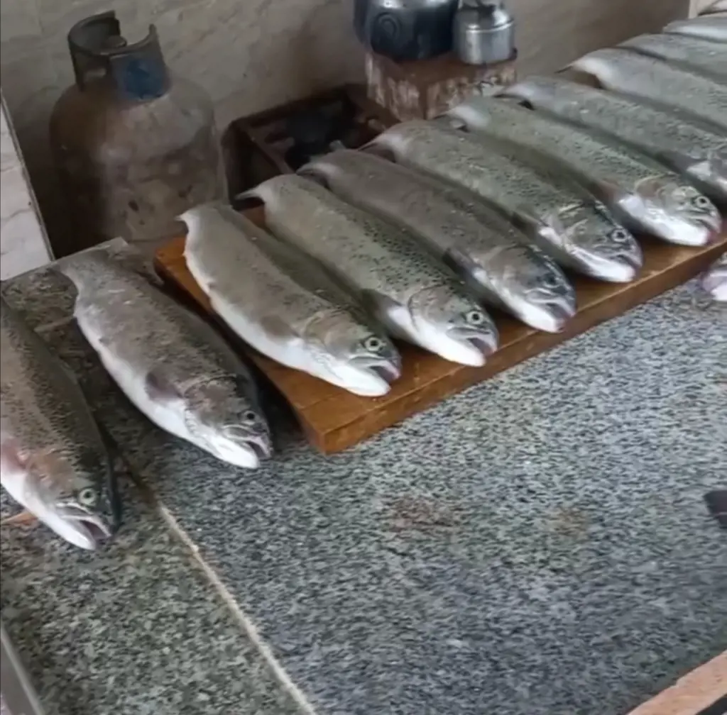 تصویر شماره 2 محصول 