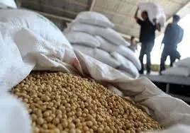 تصویر شماره 1 محصول 