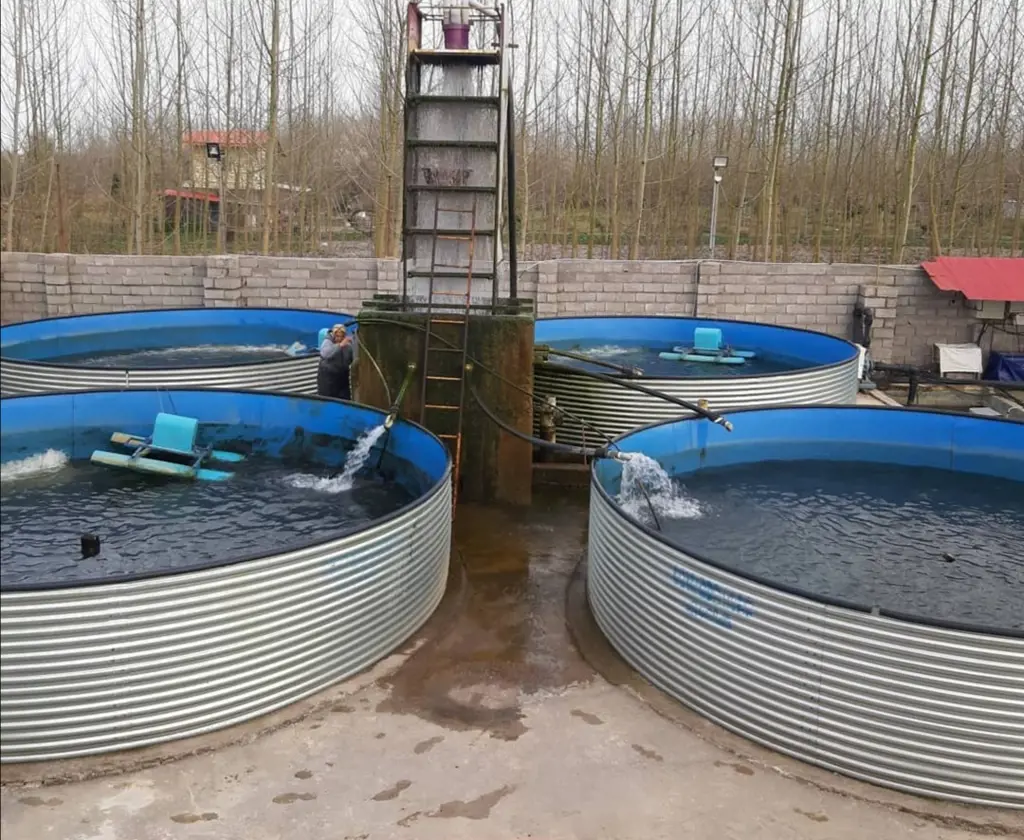 تصویر شماره 1 محصول 