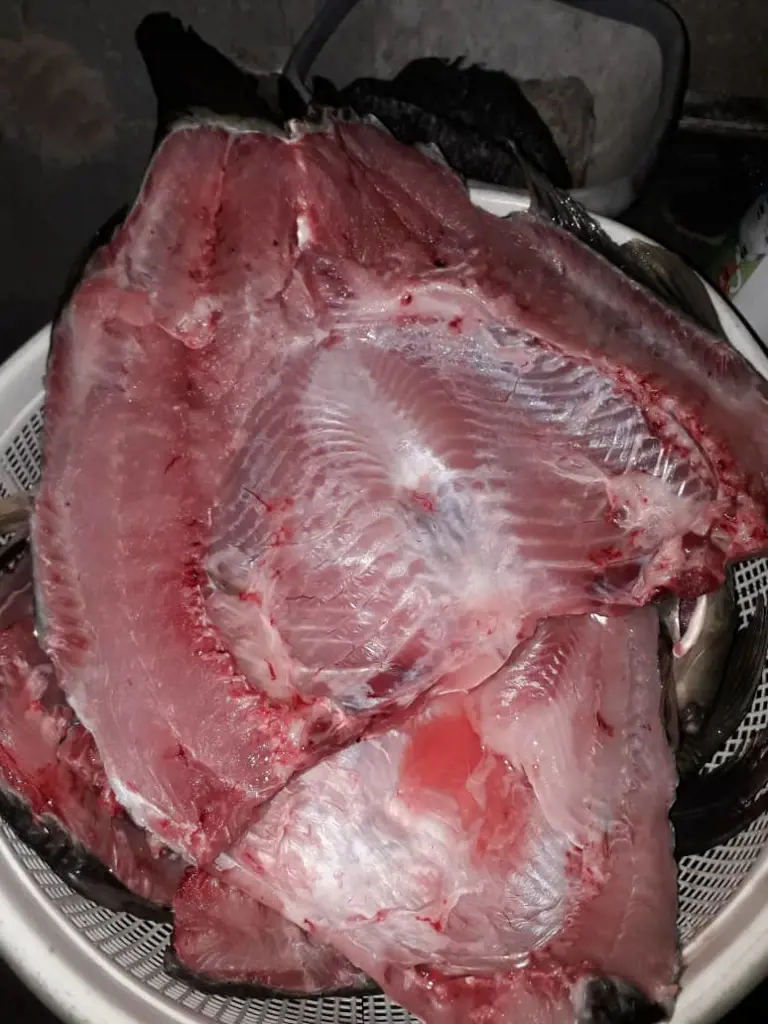 تصویر شماره 3 محصول 