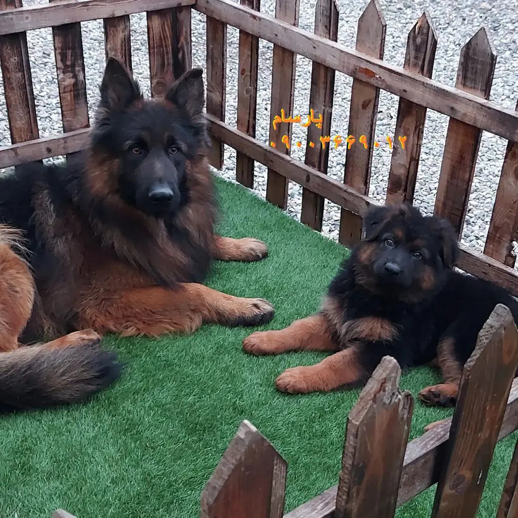 تصویر شماره 4 محصول 