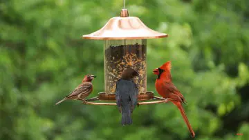 تصویر شماره 1 محصول 