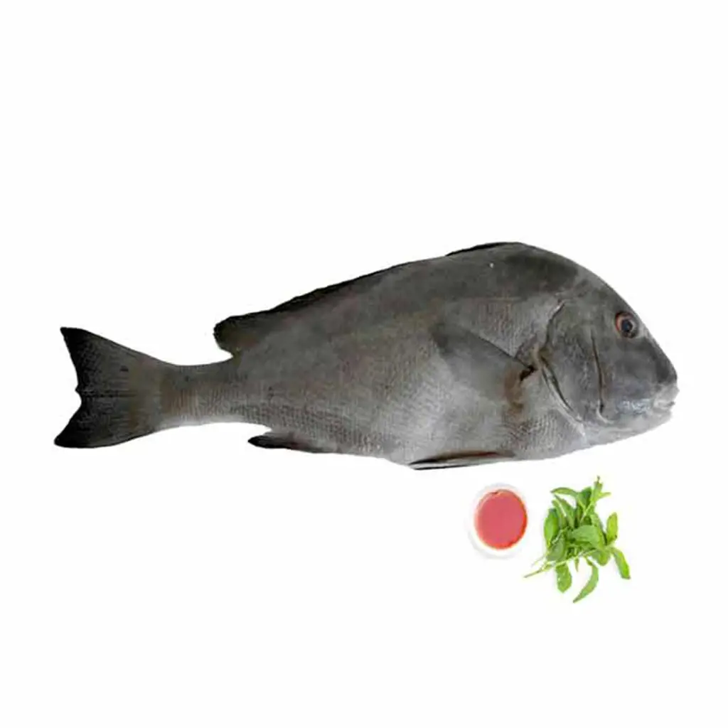 تصویر شماره 1 محصول 