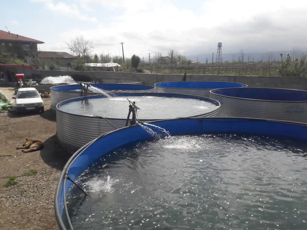 تصویر شماره 2 محصول 