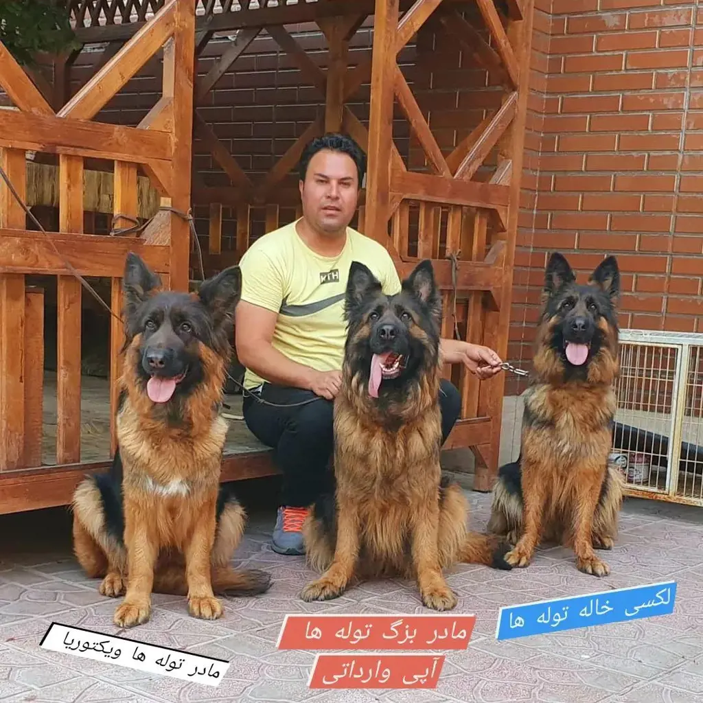 تصویر شماره 1 محصول 