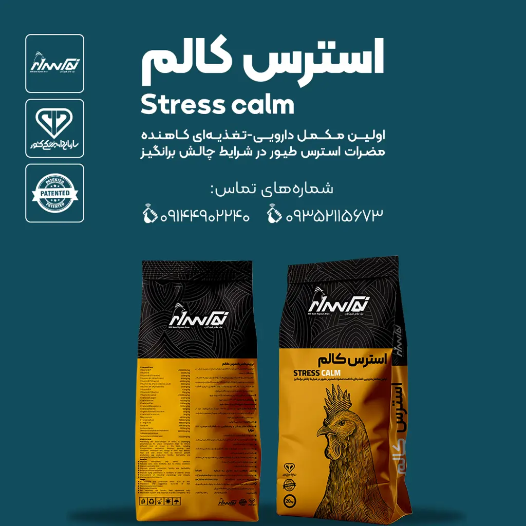 تصویر شماره 1 محصول 