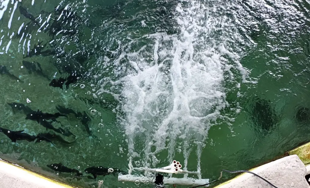 تصویر شماره 1 محصول 