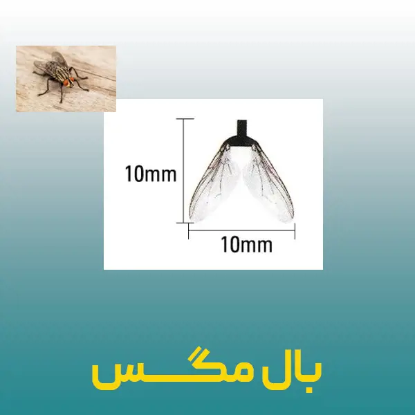 تصویر شماره 2 محصول 