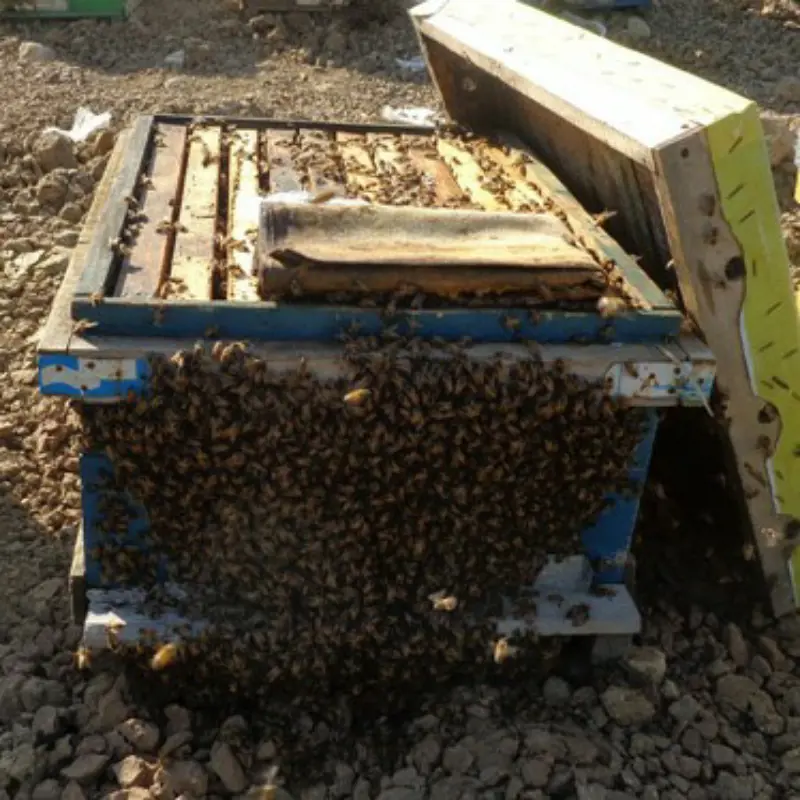 تصویر شماره 1 محصول 