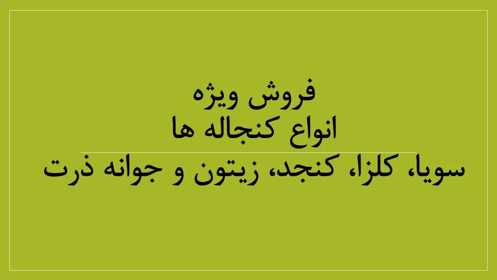 تصویر شماره 2 محصول 